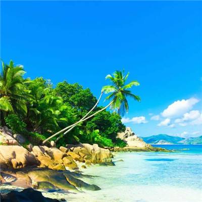 华会体育官方网站首页登录