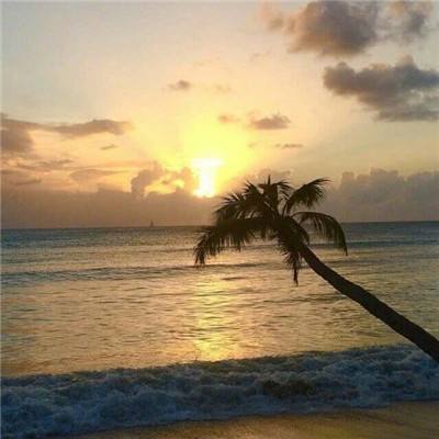 BSport·APP在线登录下载手机版