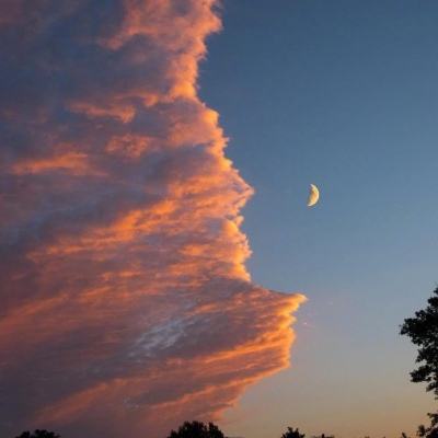 体育投注网址365